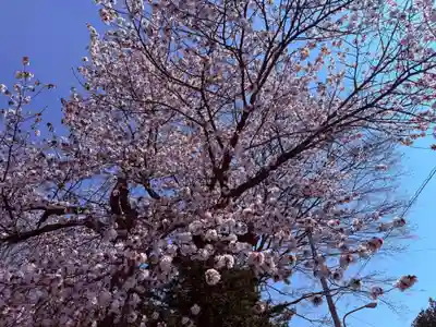 大麻神社(北海道)
