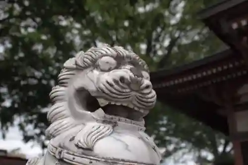 春日神社の狛犬
