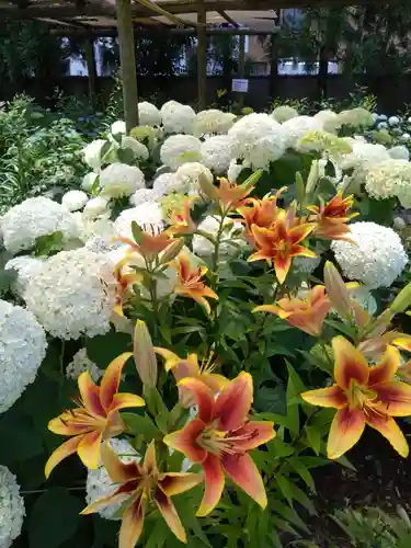 筥崎宮(福岡県)