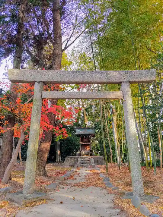 憶感神社(神守町)の鳥居