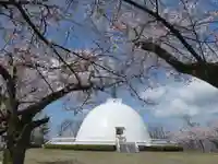 妙法寺(福井県)