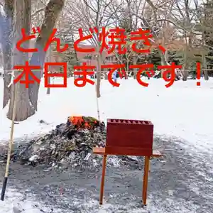 彌彦神社 (伊夜日子神社)の体験その他(2025年01月15日(水) 10時51分48秒投稿)