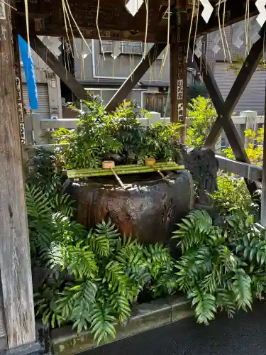 矢先稲荷神社の{uncategorized: "未分類", other: "その他", undefined: "問題あり", building: "その他建物", grave: "お墓", sacred_gate: "鳥居", guardian: "狛犬", statue: "像", buddha: "仏像", history: "歴史", nature: "自然", garden: "庭園", animal: "動物", pagoda: "塔", temizu: "手水舎", mountain_gate: "山門・神門", sanctuary: "本殿・本堂", subordinate: "末社・摂社", art: "芸術", scenery: "景色", jizo: "地蔵", ema: "絵馬", goshuin: "御朱印", omikuji: "おみくじ", items: "授与品その他", amulet: "お守り", goshuincho: "御朱印帳", eats: "食事", festival: "お祭り", votive_dance: "神楽", shichigosan: "七五三参", wedding: "結婚式", experience: "体験その他", initially: "初詣", around: "周辺", anti_infection: "感染症対策"}