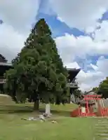 興成神社(東大寺境内社)(奈良県)