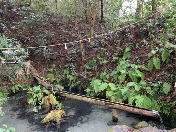 熊野神社の自然