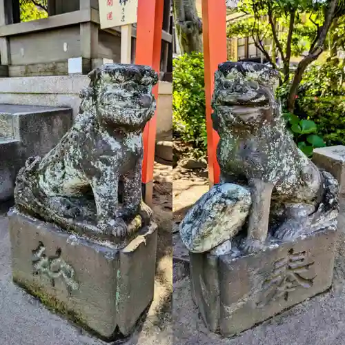 千葉神社の狛犬