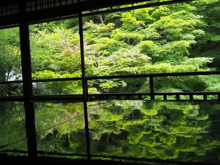 光明寺瑠璃光院の庭園