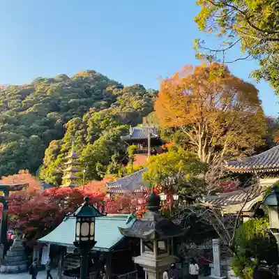 朝護孫子寺(奈良県)