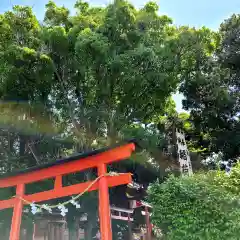 高塚熊野神社の鳥居