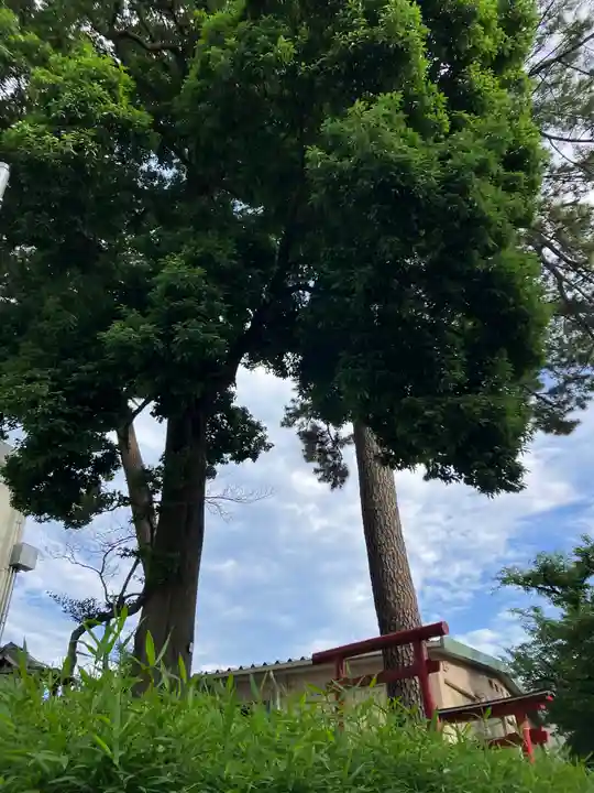 桜満観音(東京都)