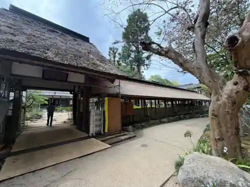 大雄寺(栃木県)