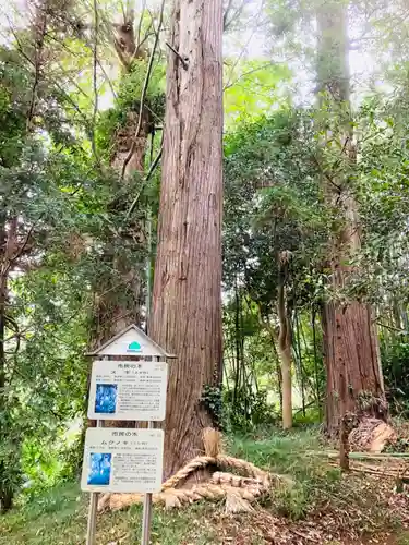 皇産霊神社(茨城県)