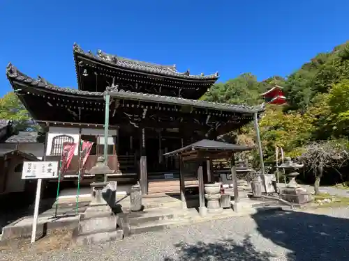 今熊野観音寺(京都府)