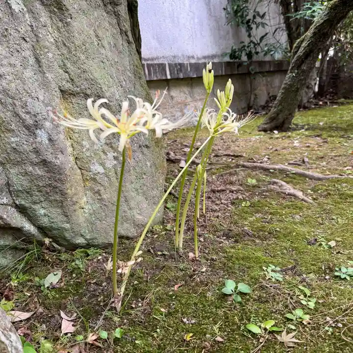 伊勢の国 四天王寺(三重県)