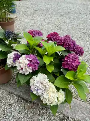 源九郎稲荷神社のその他建物