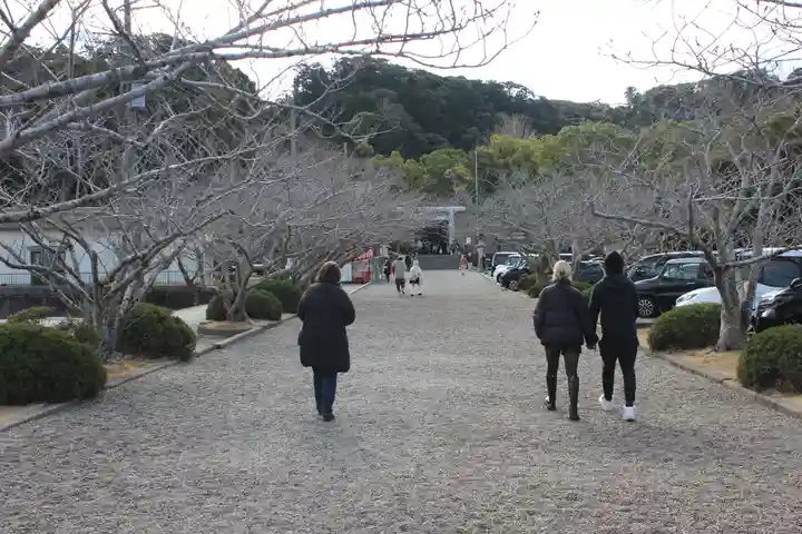 安房神社(千葉県)