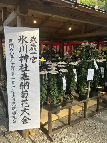 武蔵一宮氷川神社(埼玉県)
