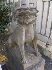 白金氷川神社の狛犬