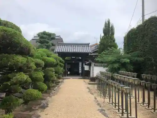 金剛寺の山門