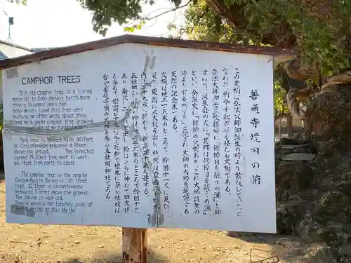 善通寺(香川県)