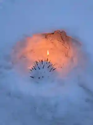 北広島市総鎮守 廣島神社の狛犬