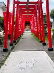 於菊稲荷神社(群馬県)