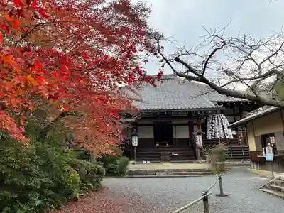 常照寺(京都府)
