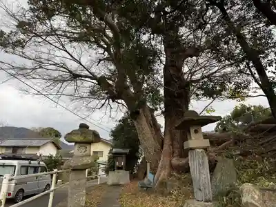 松尾神社(徳島県)