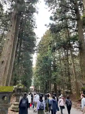 北口本宮冨士浅間神社(山梨県)
