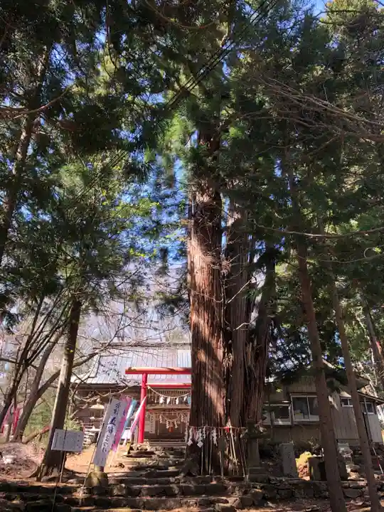 磐椅神社(福島県)