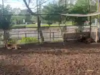 相州春日神社(神奈川県)