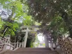 渋谷氷川神社の鳥居