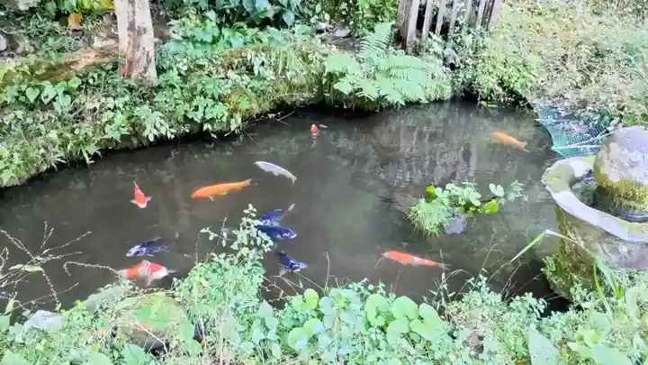 定光院(滋賀県)