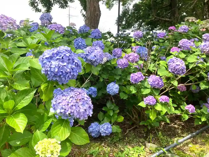 音楽寺(愛知県)