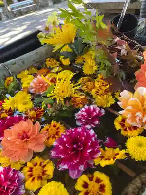 大鳥神社(滋賀県)