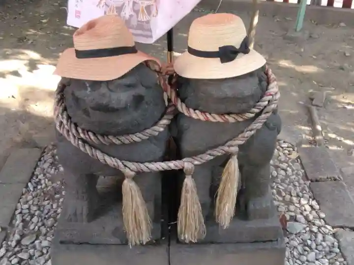 浅草神社の狛犬