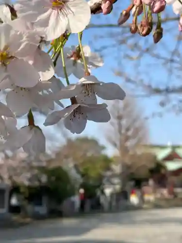 潮田神社の{uncategorized: "未分類", other: "その他", undefined: "問題あり", building: "その他建物", grave: "お墓", sacred_gate: "鳥居", guardian: "狛犬", statue: "像", buddha: "仏像", history: "歴史", nature: "自然", garden: "庭園", animal: "動物", pagoda: "塔", temizu: "手水舎", mountain_gate: "山門・神門", sanctuary: "本殿・本堂", subordinate: "末社・摂社", art: "芸術", scenery: "景色", jizo: "地蔵", ema: "絵馬", goshuin: "御朱印", omikuji: "おみくじ", items: "授与品その他", amulet: "お守り", goshuincho: "御朱印帳", eats: "食事", festival: "お祭り", votive_dance: "神楽", shichigosan: "七五三参", wedding: "結婚式", experience: "体験その他", initially: "初詣", around: "周辺", anti_infection: "感染症対策"}