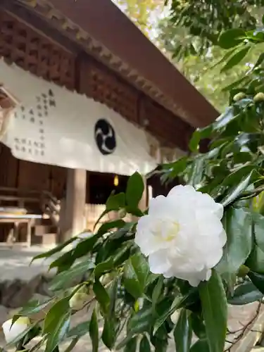 椿大神社(三重県)