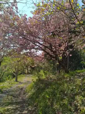 妙立寺(宮城県)