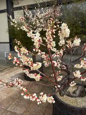 岩津天満宮(愛知県)