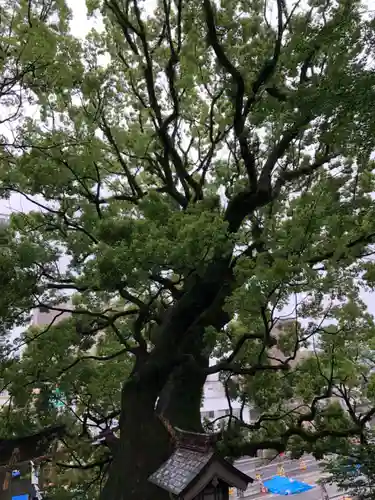 北岡神社の自然