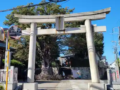 白山神社の鳥居