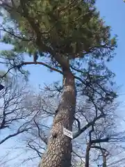 村富神社(神奈川県)