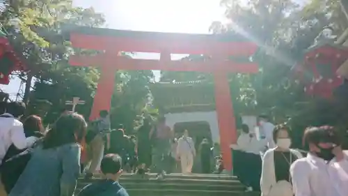 江島神社の鳥居