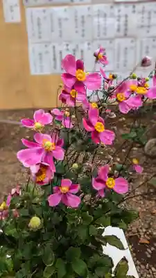 前原御嶽神社の自然