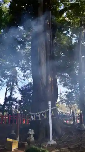 麻賀多神社奥宮の自然
