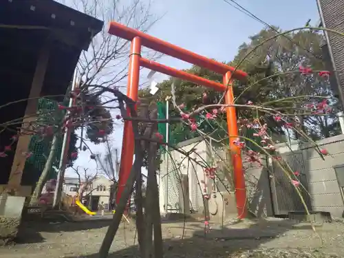 大師稲荷神社の鳥居