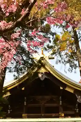 宮地嶽神社(福岡県)