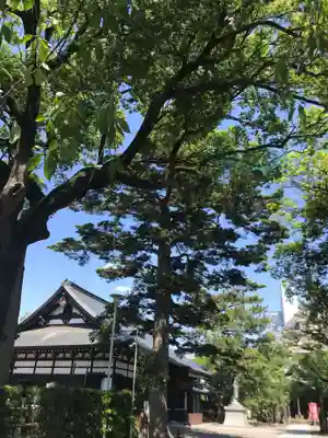 安養寺の本殿・本堂