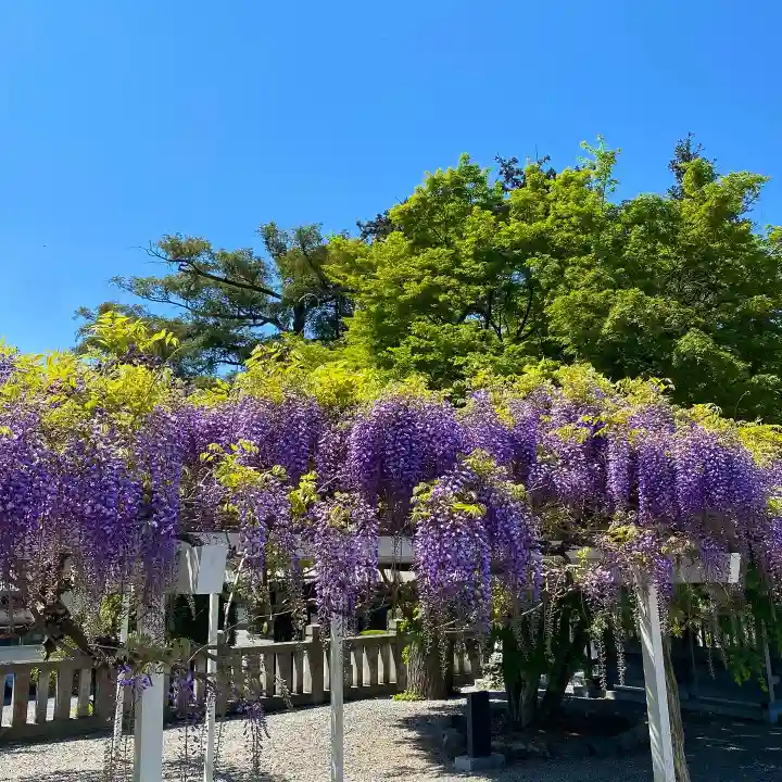 白鷺神社の庭園